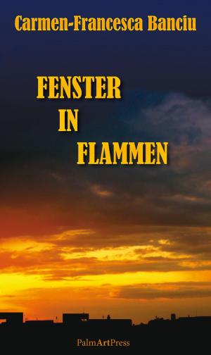 Book cover of Fenster in Flammen