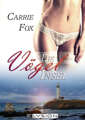 Cover of the book Die Vögelinsel by Carrie Fox