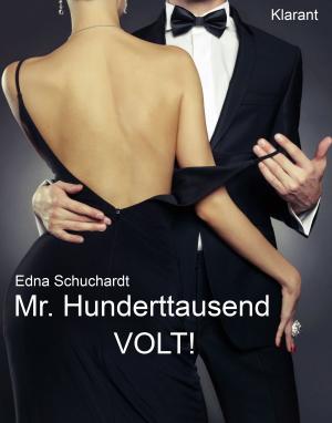Cover of the book Mr. Hunderttausend Volt by Bärbel Muschiol