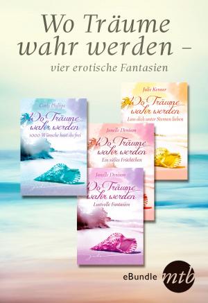 Book cover of Wo Träume wahr werden - vier erotische Fantasien