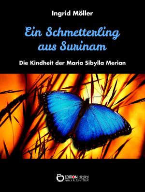 Cover of the book Ein Schmetterling aus Surinam by Klaus Möckel