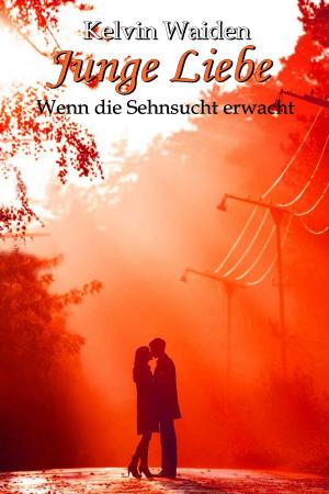 Cover of the book Junge Liebe by Jens Fitscher
