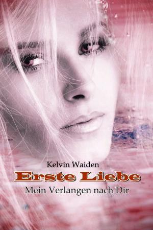 Book cover of Erste Liebe