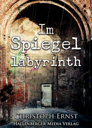 Cover of the book Im Spiegellabyrinth by Roland Lange