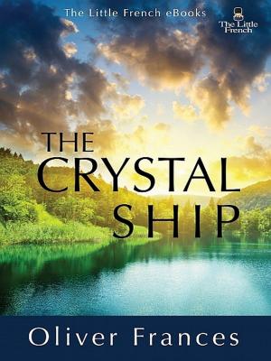 Cover of the book The Crystal Ship by pabloemma