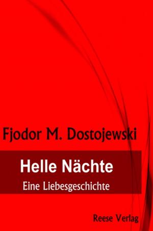 Book cover of Helle Nächte