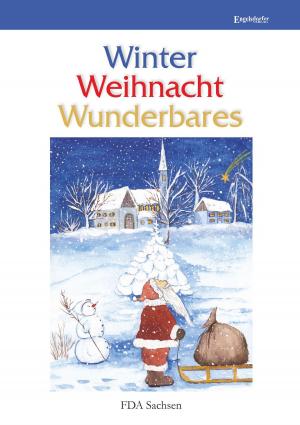 Cover of the book Winter – Weihnacht – Wunderbares by John U. Sommer, Gottfried Senf