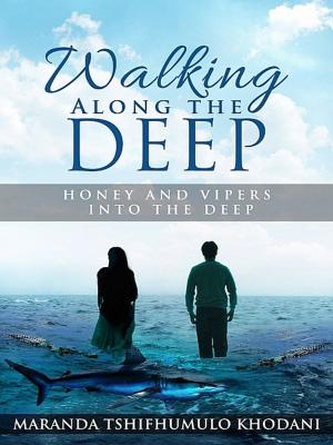Cover of the book Walking Along the Deep by Martin R. Smith