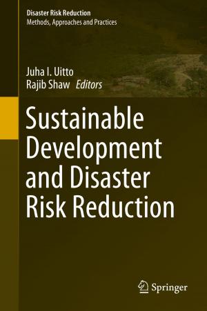 Cover of the book Sustainable Development and Disaster Risk Reduction by Kazuhiko Ozeki