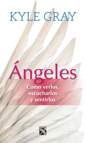 Cover of the book Ángeles by Carlos Elías