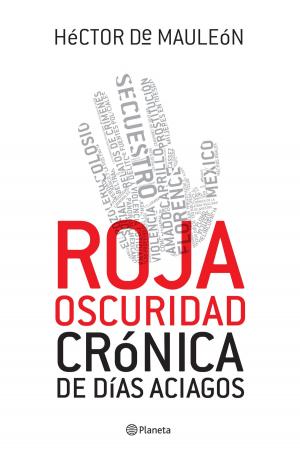 Cover of the book Roja oscuridad by Pedro Riba