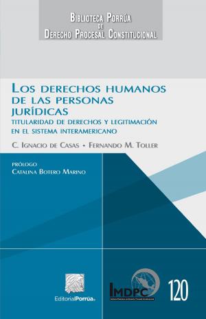 Cover of the book Los derechos humanos de las personas jurídicas by Juan de Dios González Ibarra