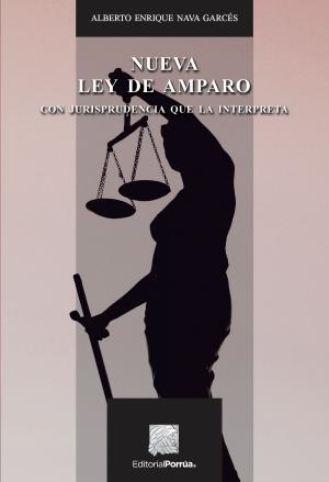 Cover of the book La nueva Ley de amparo by 