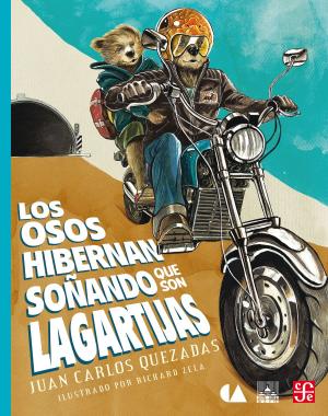Cover of the book Los osos hibernan soñando que son lagartijas by Shahen Hacyan