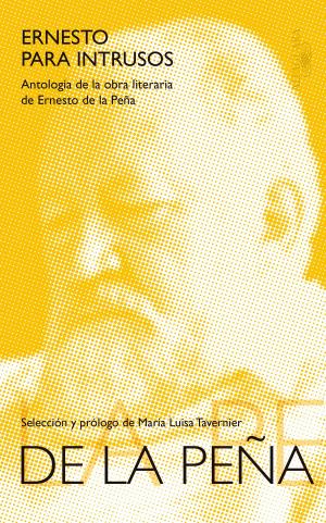 Cover of the book Ernesto para intrusos by Kass Morgan