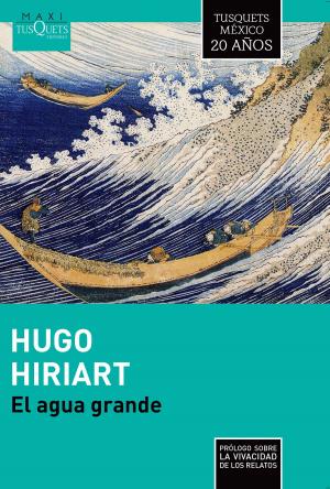 Cover of the book El agua grande by Varios autores