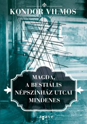 Book cover of Magda, a bestiális Népszínház utcai mindenes