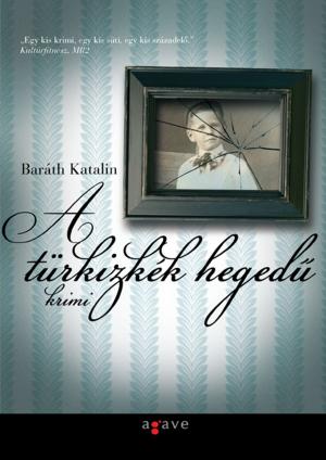 Cover of the book A türkizkék hegedű by Kondor Vilmos