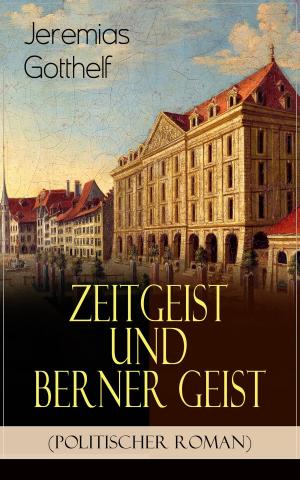 Book cover of Zeitgeist und Berner Geist (Politischer Roman)