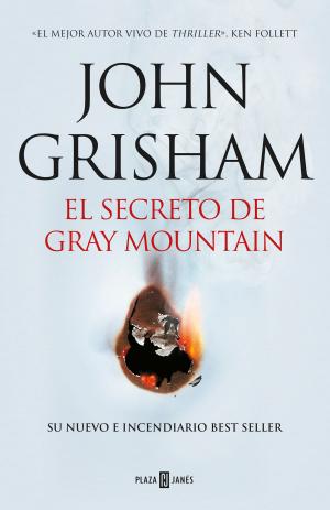 Cover of the book El secreto de Gray Mountain by Mercedes Gallego