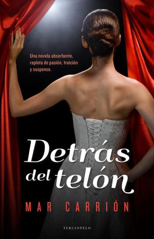 Cover of the book Detrás del telón by Dulcinea (Paola Calasanz)