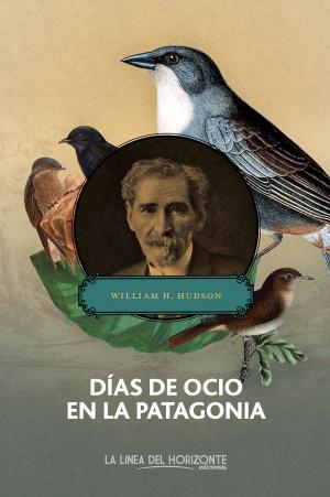 Cover of the book Días de ocio en la Patagonia by Toni Montesinos