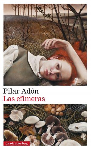Cover of the book Las efímeras by Andrés Sánchez Robayna