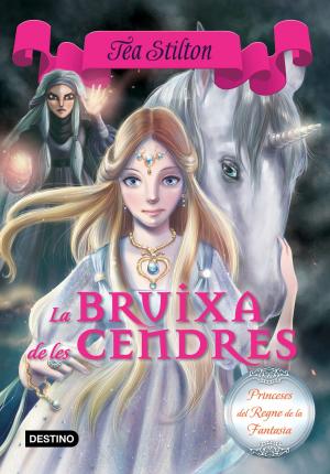 Cover of the book Bruixa de les Cendres by Toni Terrades