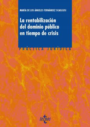 Cover of the book La rentabilización del dominio público en tiempos de crisis by Luis Arroyo, Martín Becerra, Ángel García Castillejo, Óscar Santamaría