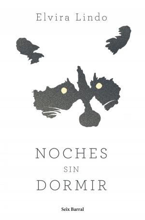Cover of the book Noches sin dormir by Geronimo Stilton