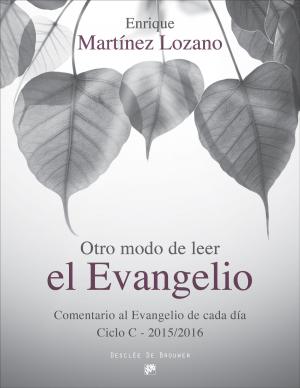 Cover of the book Otro modo de leer el evangelio by Père Yann Vagneux