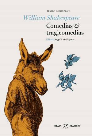 Cover of the book Comedias y tragicomedias by Enrique Vila-Matas