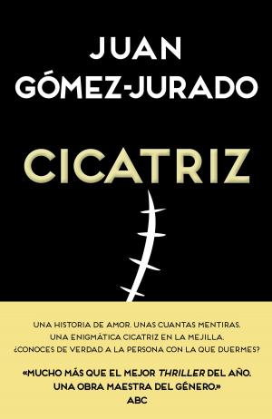 Cover of the book Cicatriz by Kim Dallmeier