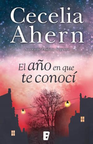 Cover of the book El año en que te conocí by Roberto Pavanello