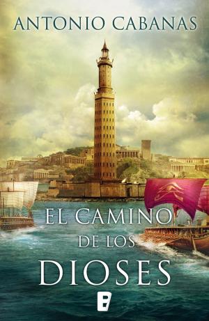 Cover of the book El camino de los dioses by Erik Axl Sund