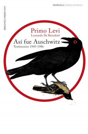 Book cover of Así fue Auschwitz
