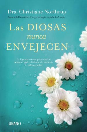 Cover of the book Las diosas nunca envejecen by Odile Fernández