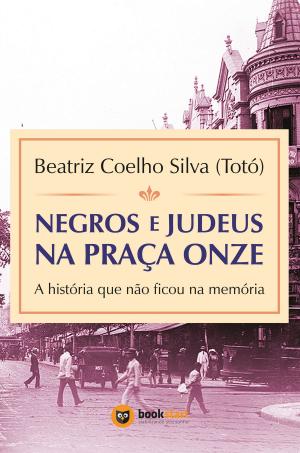 bigCover of the book Negros e judeus na praça onze by 