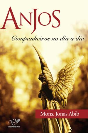 Cover of the book Anjos Companheiros no Dia a Dia by Padre Gabriele Amorth