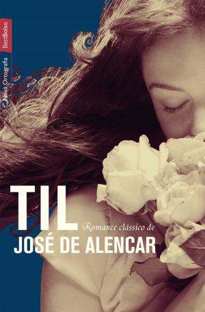 Cover of the book Til by Adélia Prado