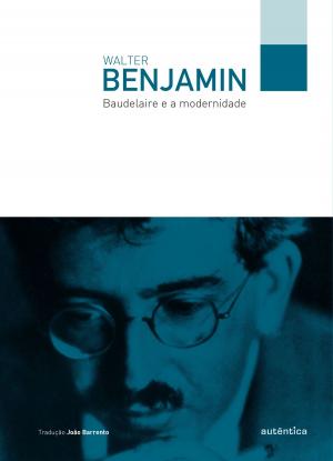 Cover of the book Baudelaire e a modernidade by Júlio Emílio Diniz-Pereira, Kenneth M. Zeichner