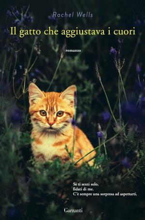 Book cover of Il gatto che aggiustava i cuori