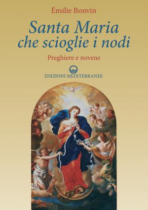 Book cover of Santa Maria che scioglie i nodi