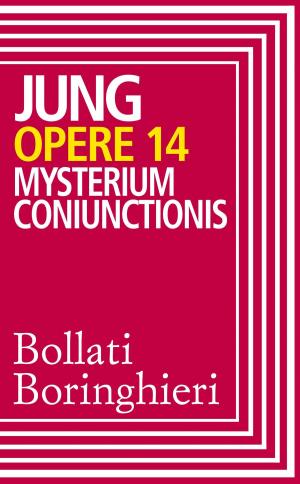 Book cover of Opere vol. 14