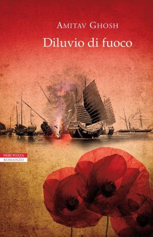 Cover of the book Diluvio di fuoco by Julian Fellowes