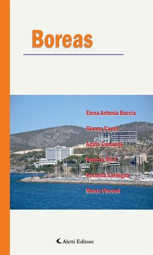 Cover of the book Boreas by Francesca Nasca, Gustavo Di Domenico, Maria Rosaria Ciaccio, Luca Campagnolo, Luigi Calcara, Stefano Benati
