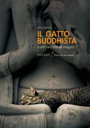 Cover of the book Il gatto buddhista by Andrew Bowden