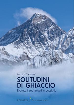 Cover of the book Solitudini di ghiaccio by Carla Piazza