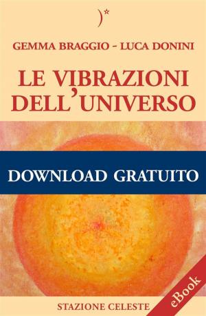Book cover of Le vibrazioni dell'Universo
