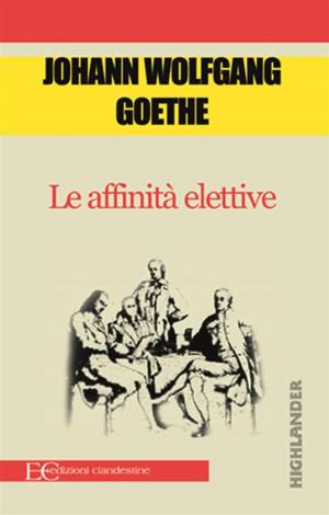 Cover of the book Le affinità elettive by Karl Kraus